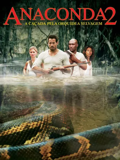 Capa do filme