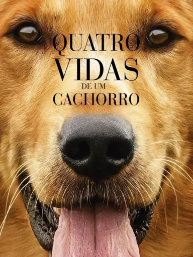 Capa do filme